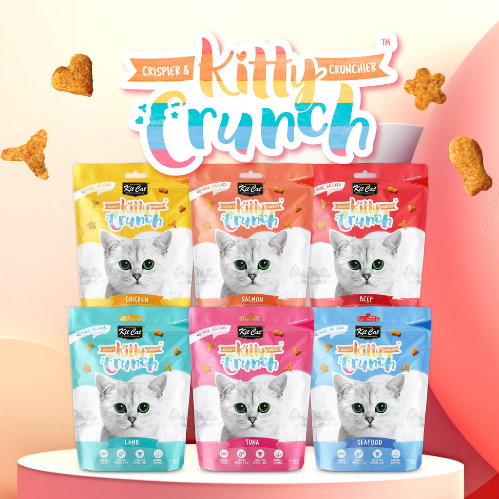 Kit Cat Kitty Crunch Bulk Deal (60g x 12 packs)