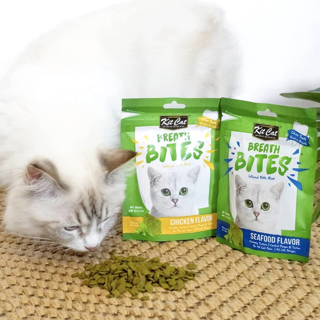 Kit Cat BreathBites Bulk Deal (60g x 12 packs)