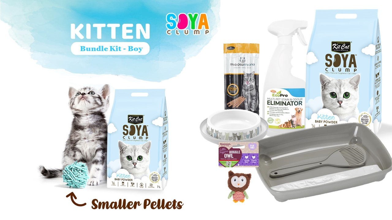 Kitten Bundled Kit - Boy
