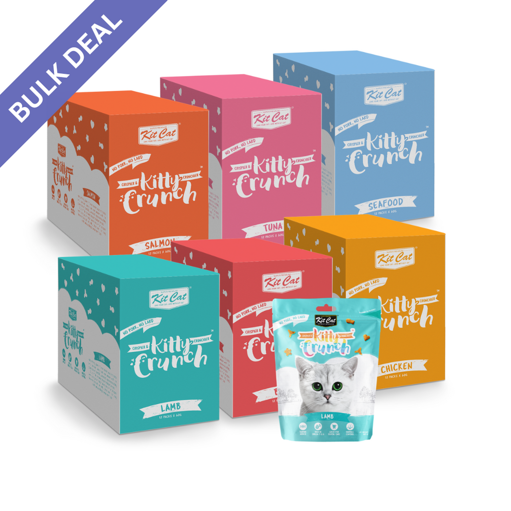 Kit Cat Kitty Crunch Bulk Deal (60g x 12 packs)