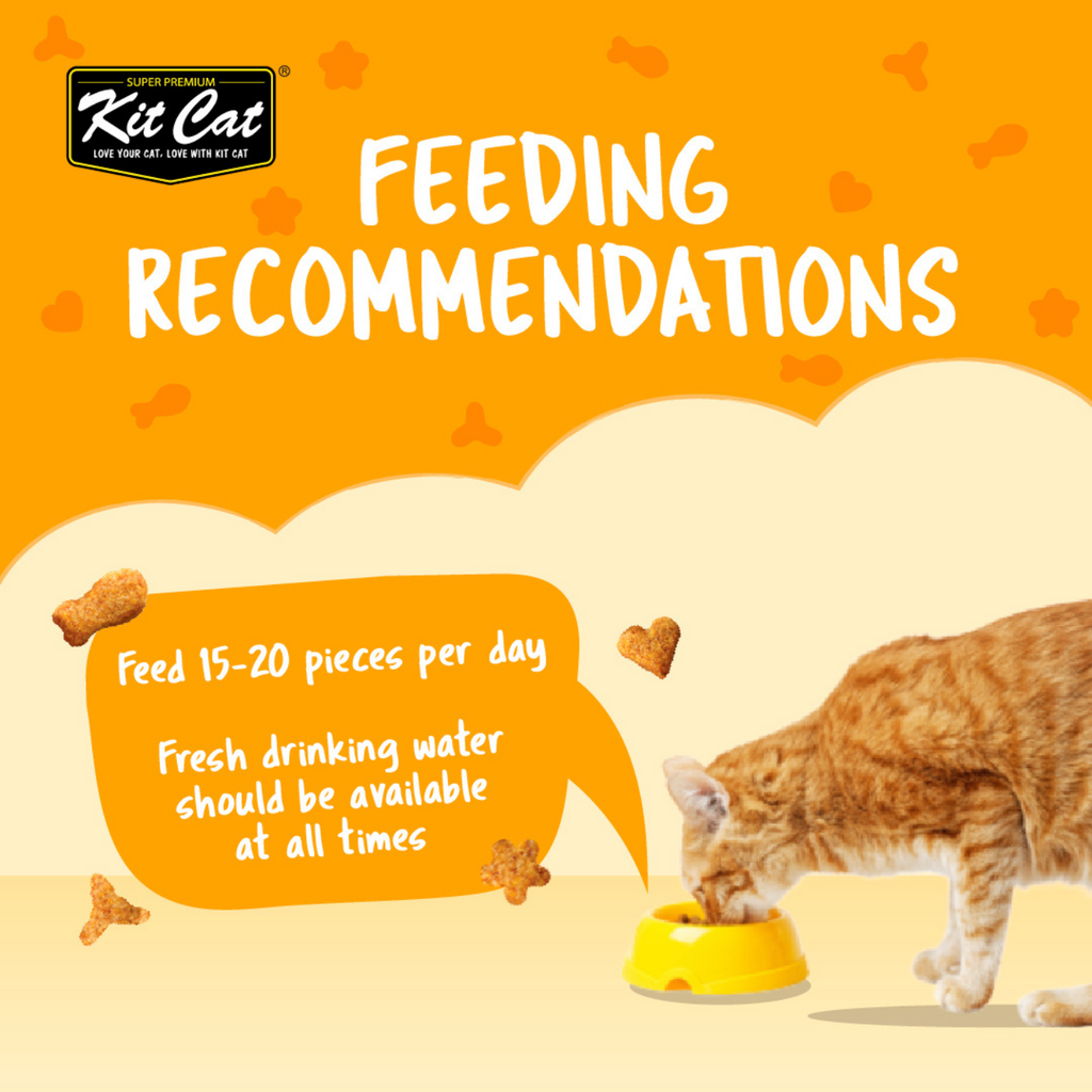 Kit Cat Kitty Crunch Bulk Deal (60g x 12 packs)