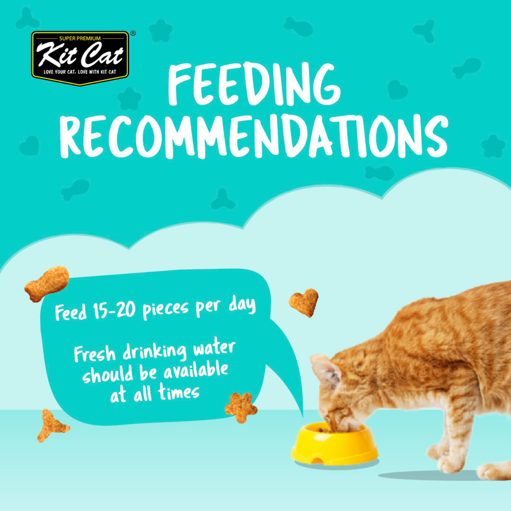 Kit Cat Kitty Crunch (60g)