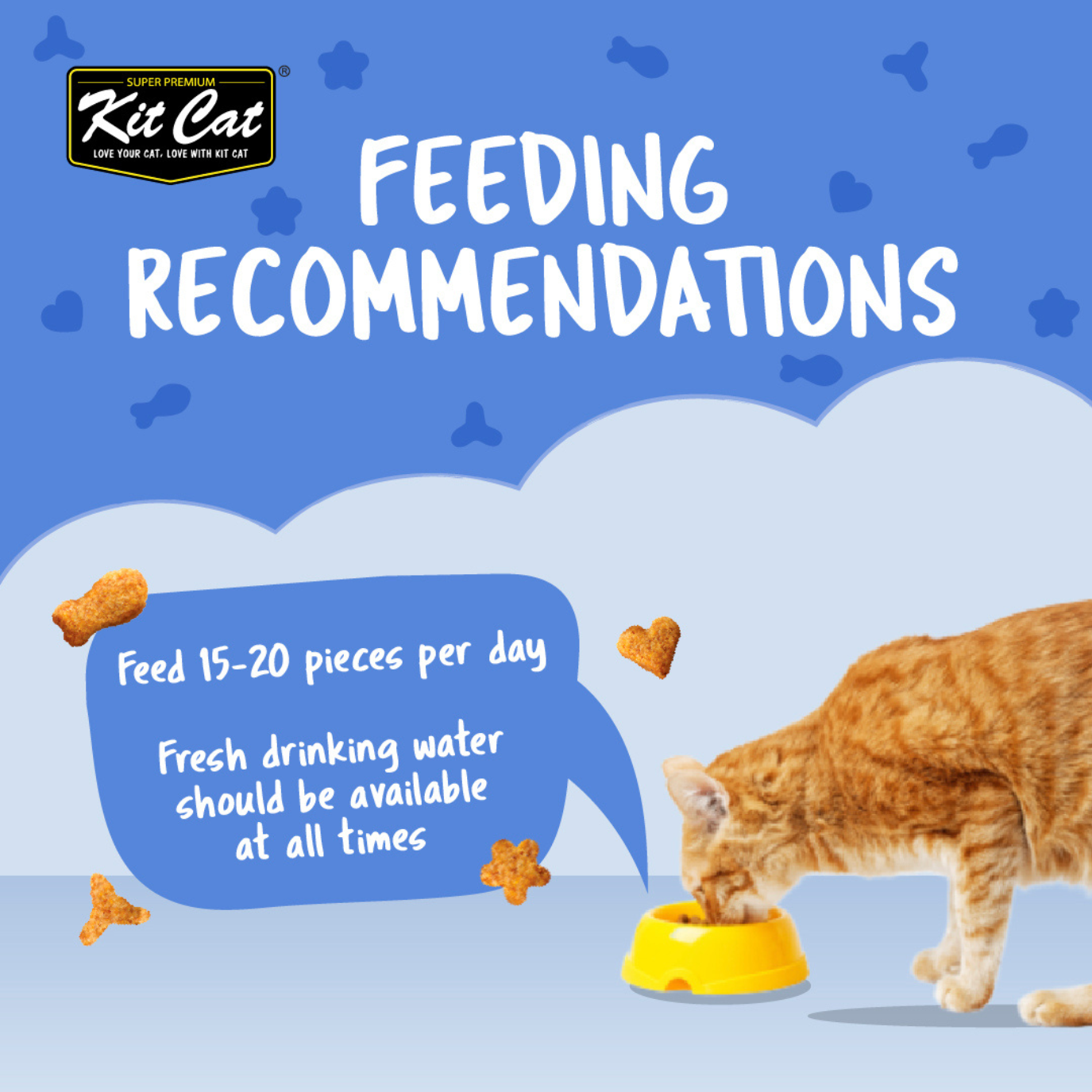 Kit Cat Kitty Crunch (60g)