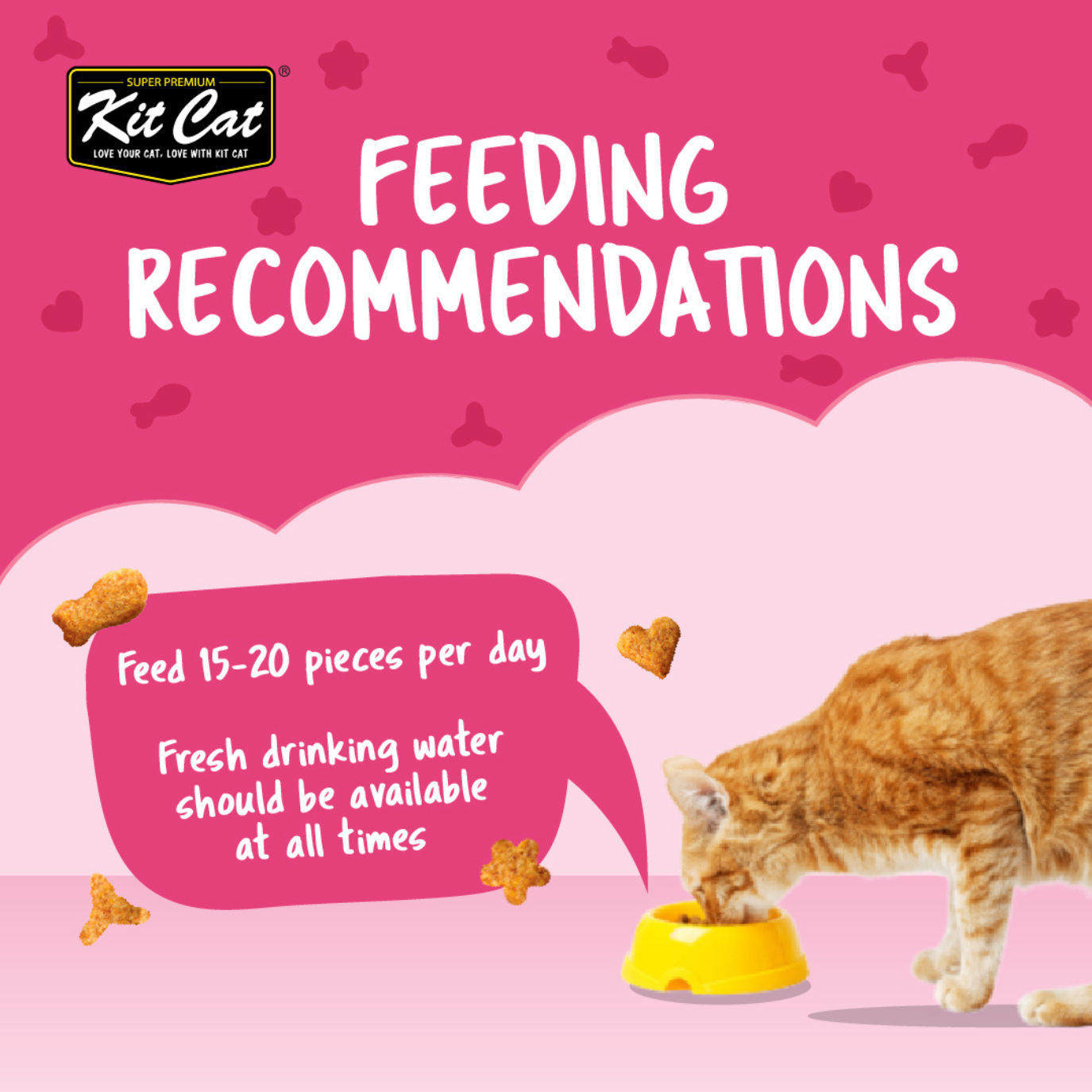 Kit Cat Kitty Crunch Bulk Deal (60g x 12 packs)