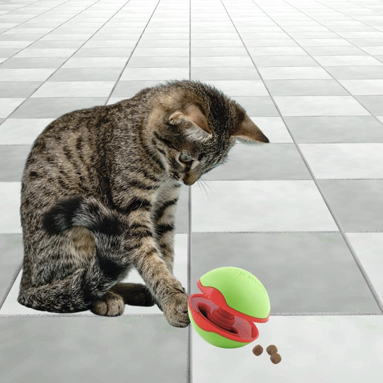 L'Chic Foobler Pop Shot Green & Red