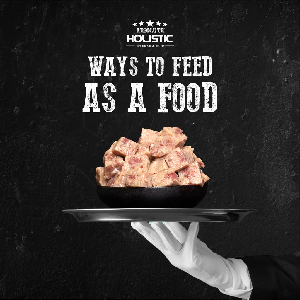 Absolute Holistic Meaty Loaf for Dogs