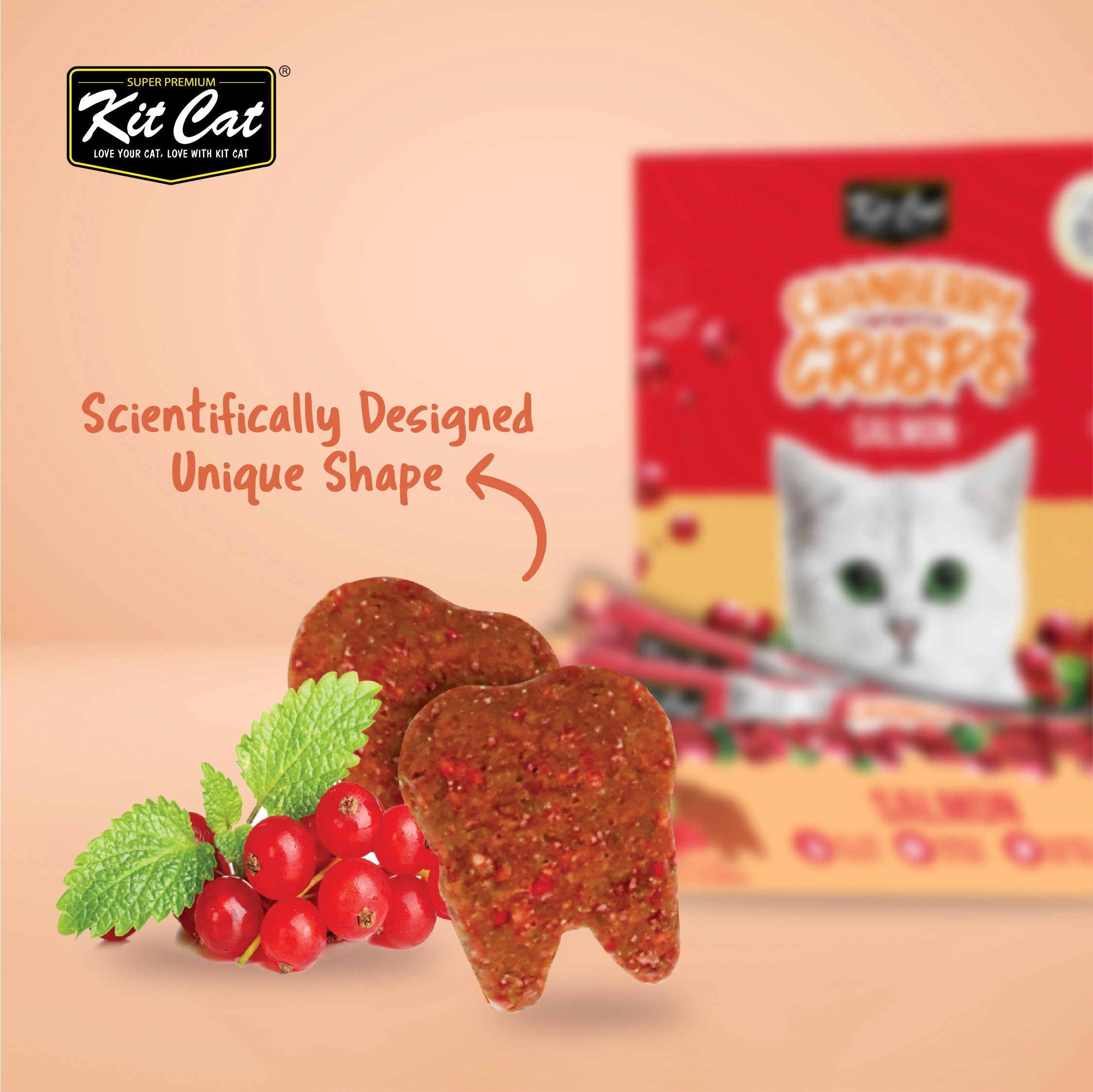 Cranberry Crisps Bulk Deal (20g x 50 packs)