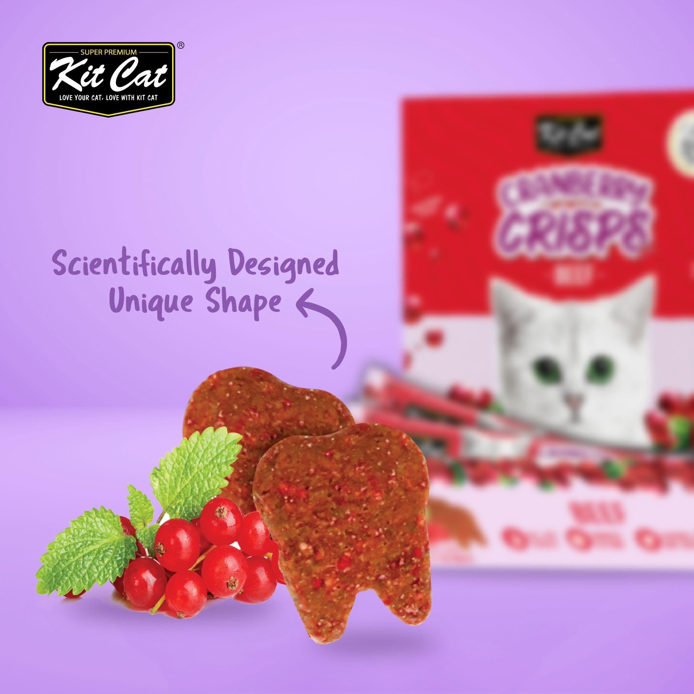 Kit Cat Cranberry Crisps (60g)