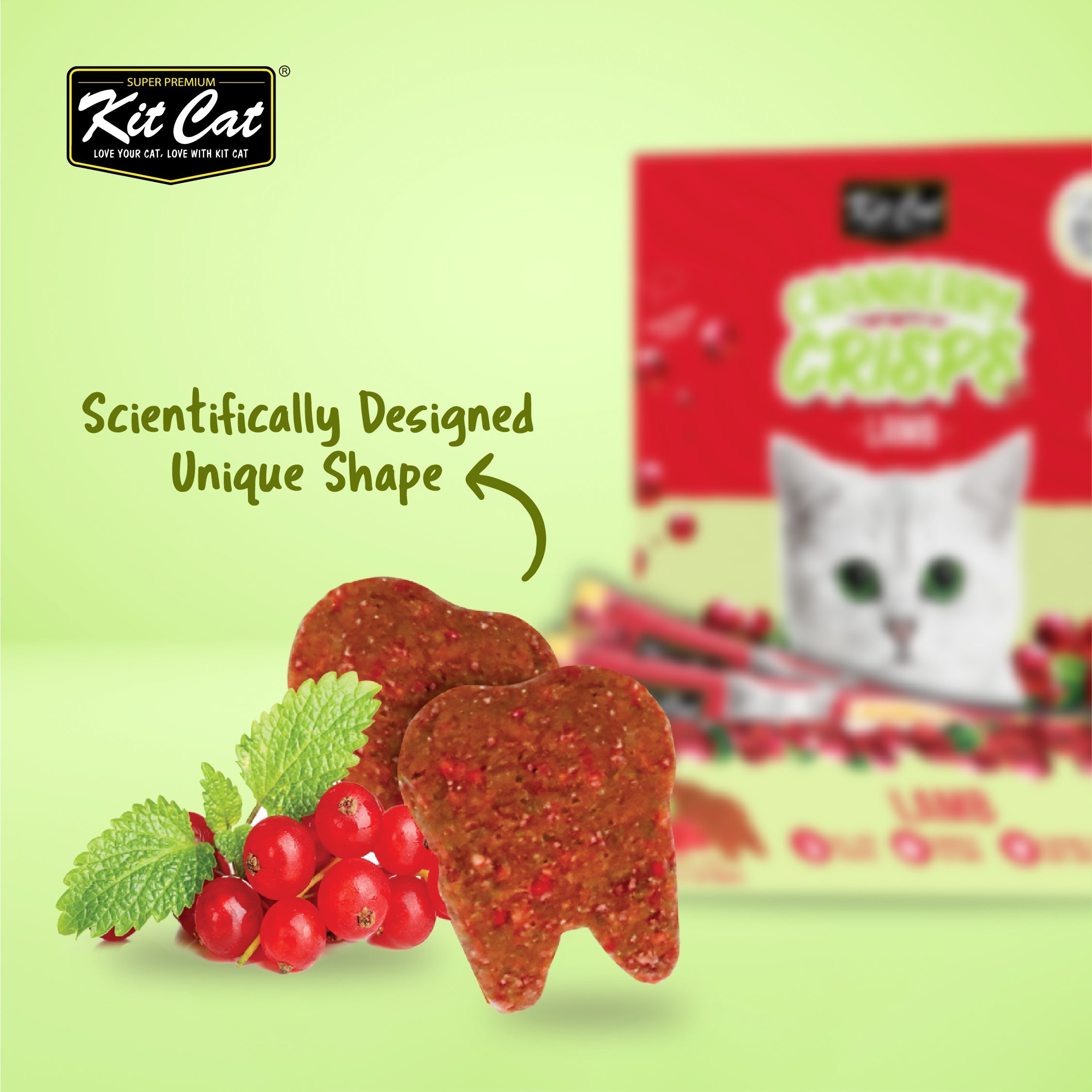 Kit Cat Cranberry Crisps (20g)