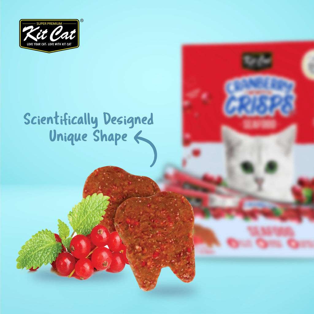 Kit Cat Cranberry Crisps (20g)
