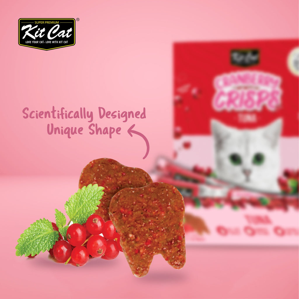 Kit Cat Cranberry Crisps (20g)