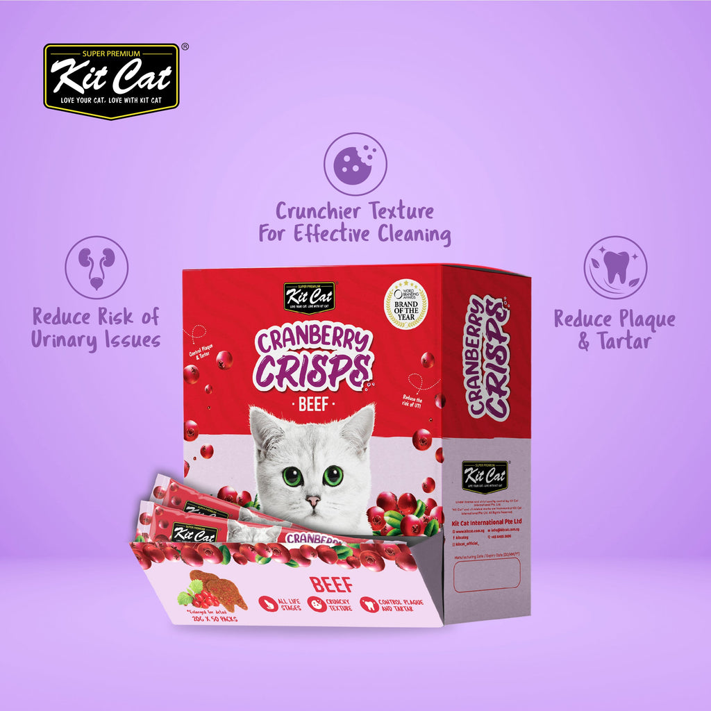 Kit Cat Cranberry Crisps (20g)