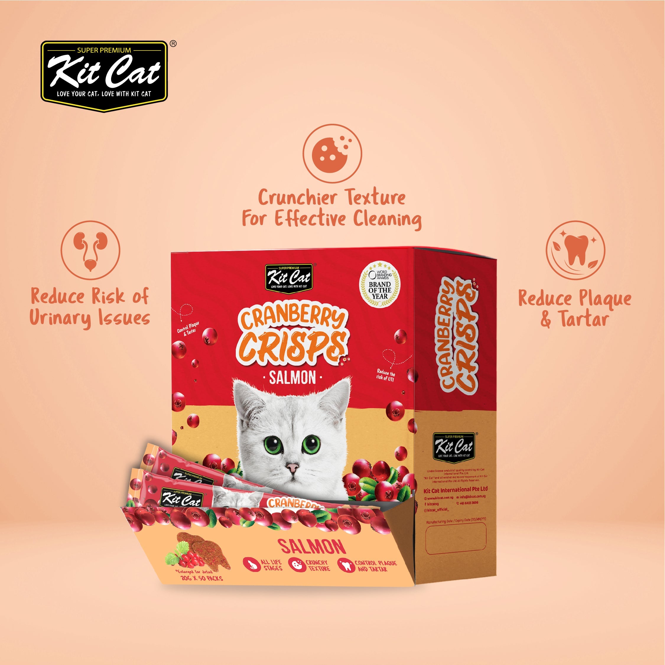 Kit Cat Cranberry Crisps (20g)