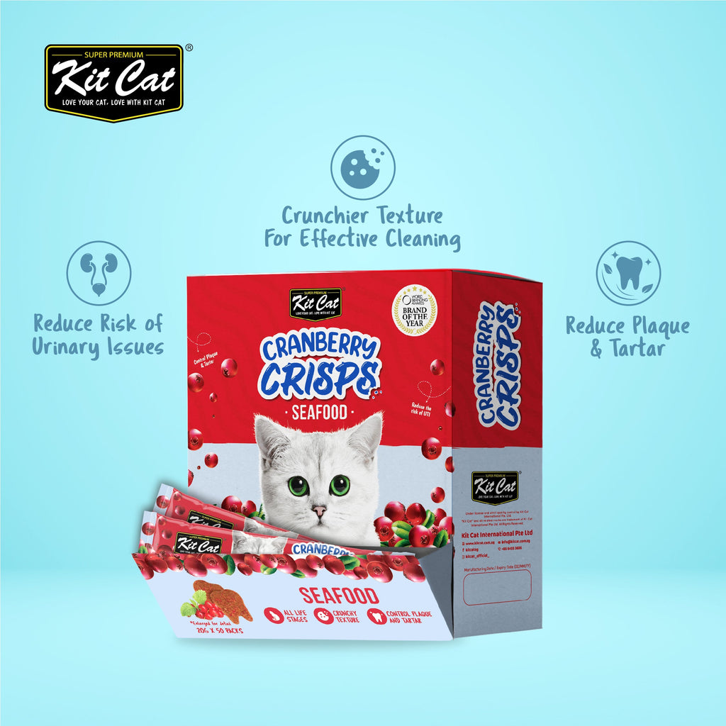 Kit Cat Cranberry Crisps (20g)