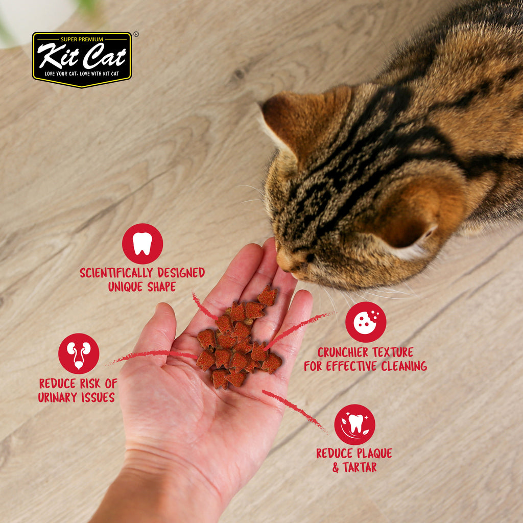 Kit Cat Cranberry Crisps (60g)