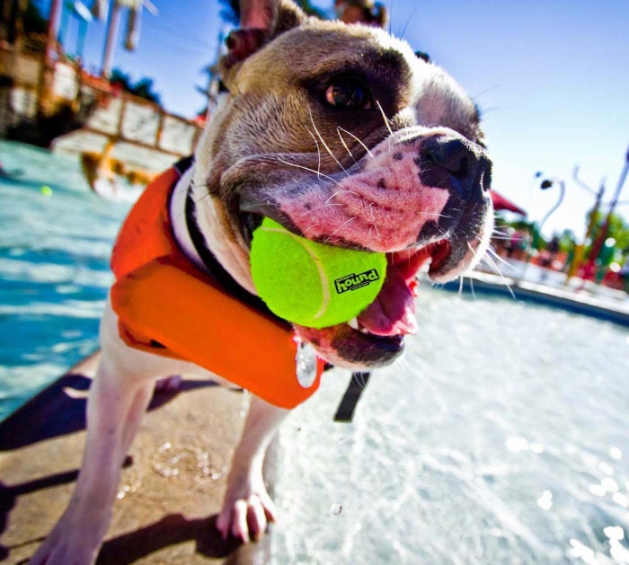 OWH28_Outward Hound_Ripstop Life Jacket Orange