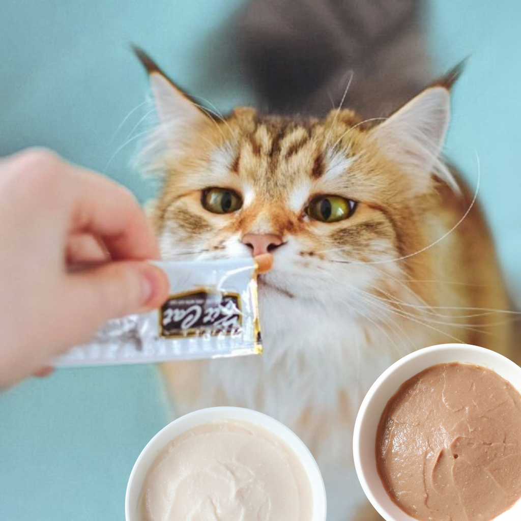 Purr Puree Plus+ Single Sachets (15g)
