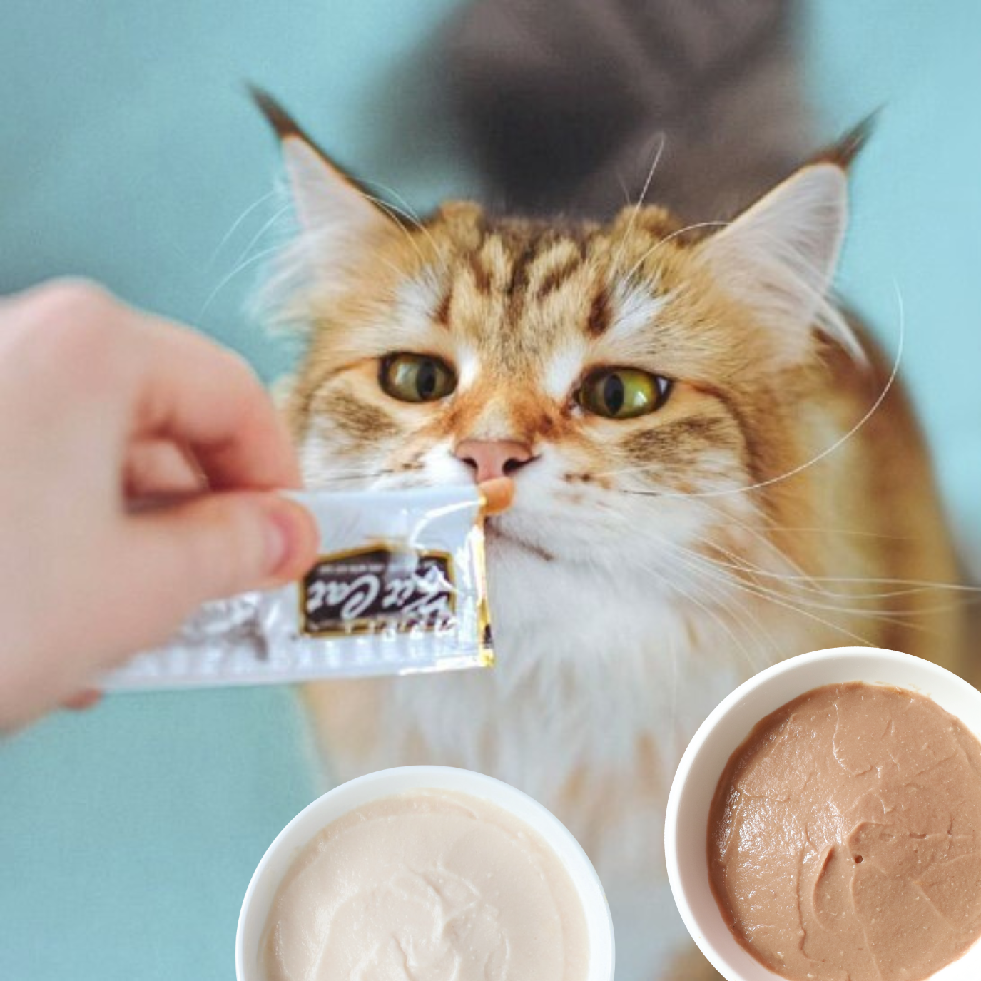 Purr Puree Plus+ Single Sachets (15g)