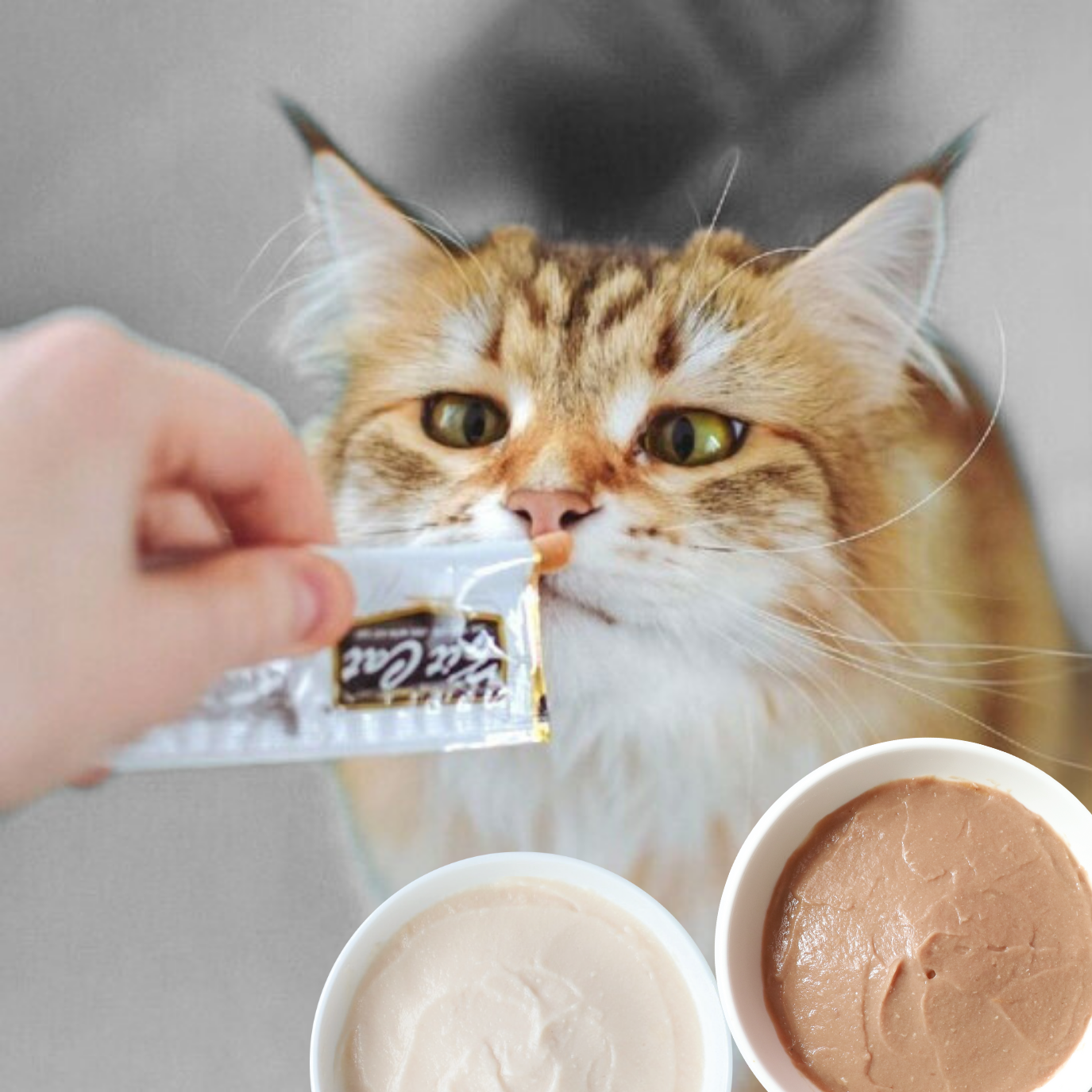 Purr Puree Plus+ (4 x 15g)