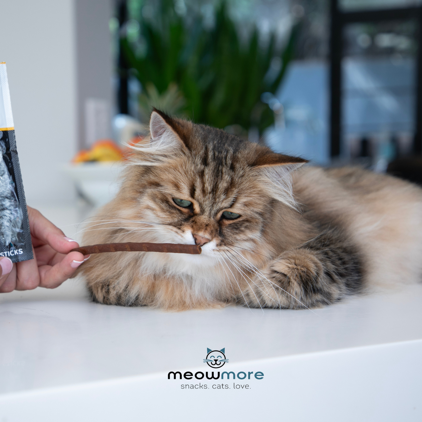 Meow More Cat Treat Sticks Bulk Deal (15g x 35 sticks)