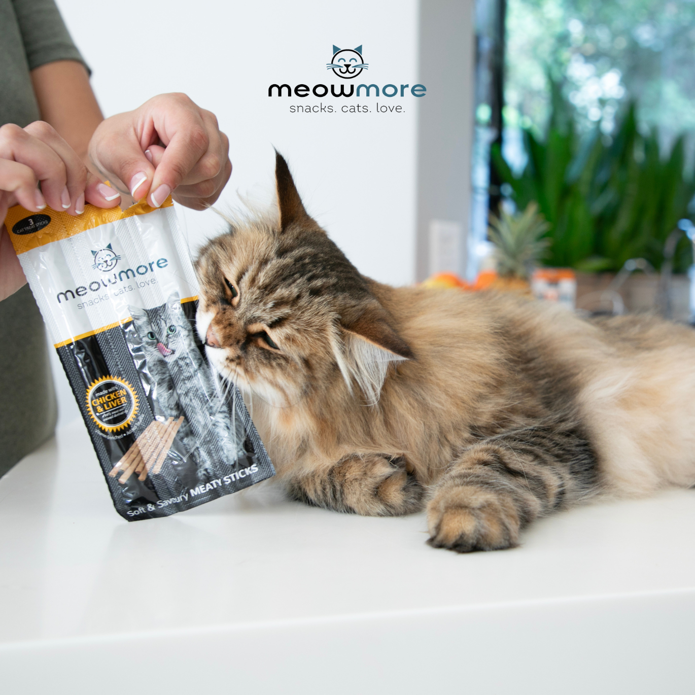Meow More Cat Treat Sticks (15g)