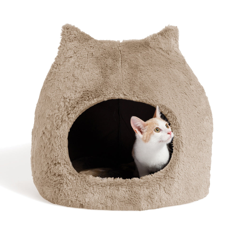 Meow Hut Wheat