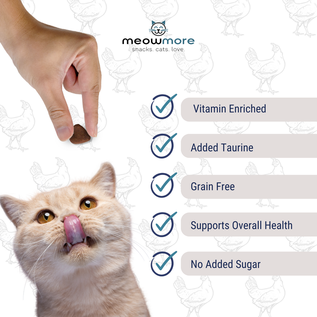 Meow More Meaty Snacks Bulk Deal (35g x 10 packs)