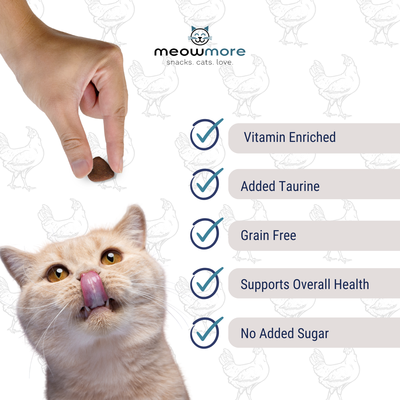 Meow More Meaty Snacks Bulk Deal (35g x 10 packs)