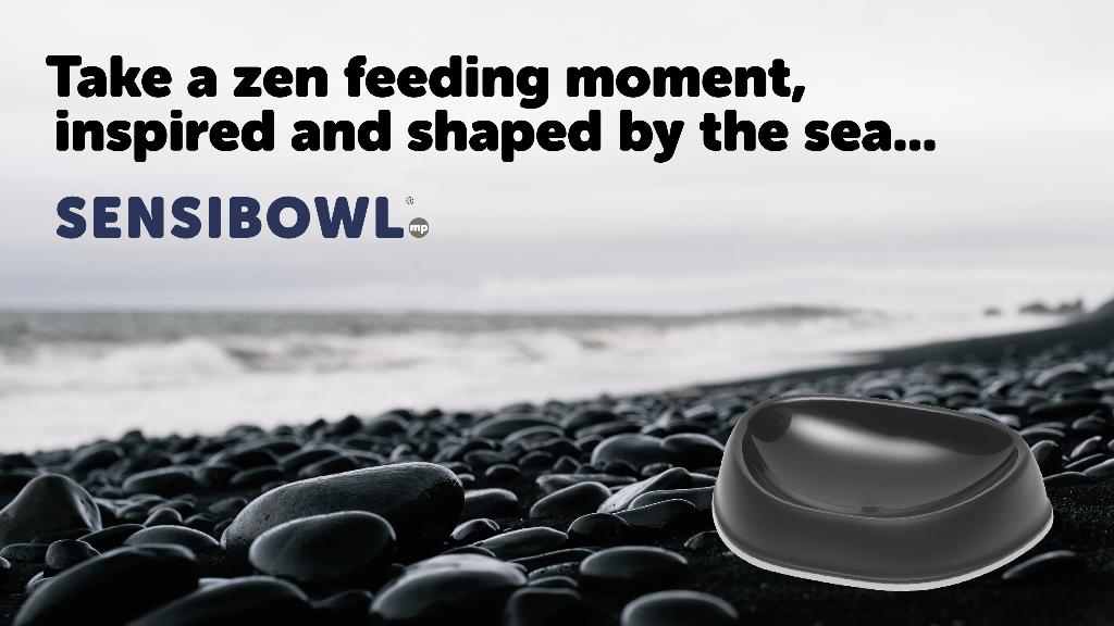 Sensibowl