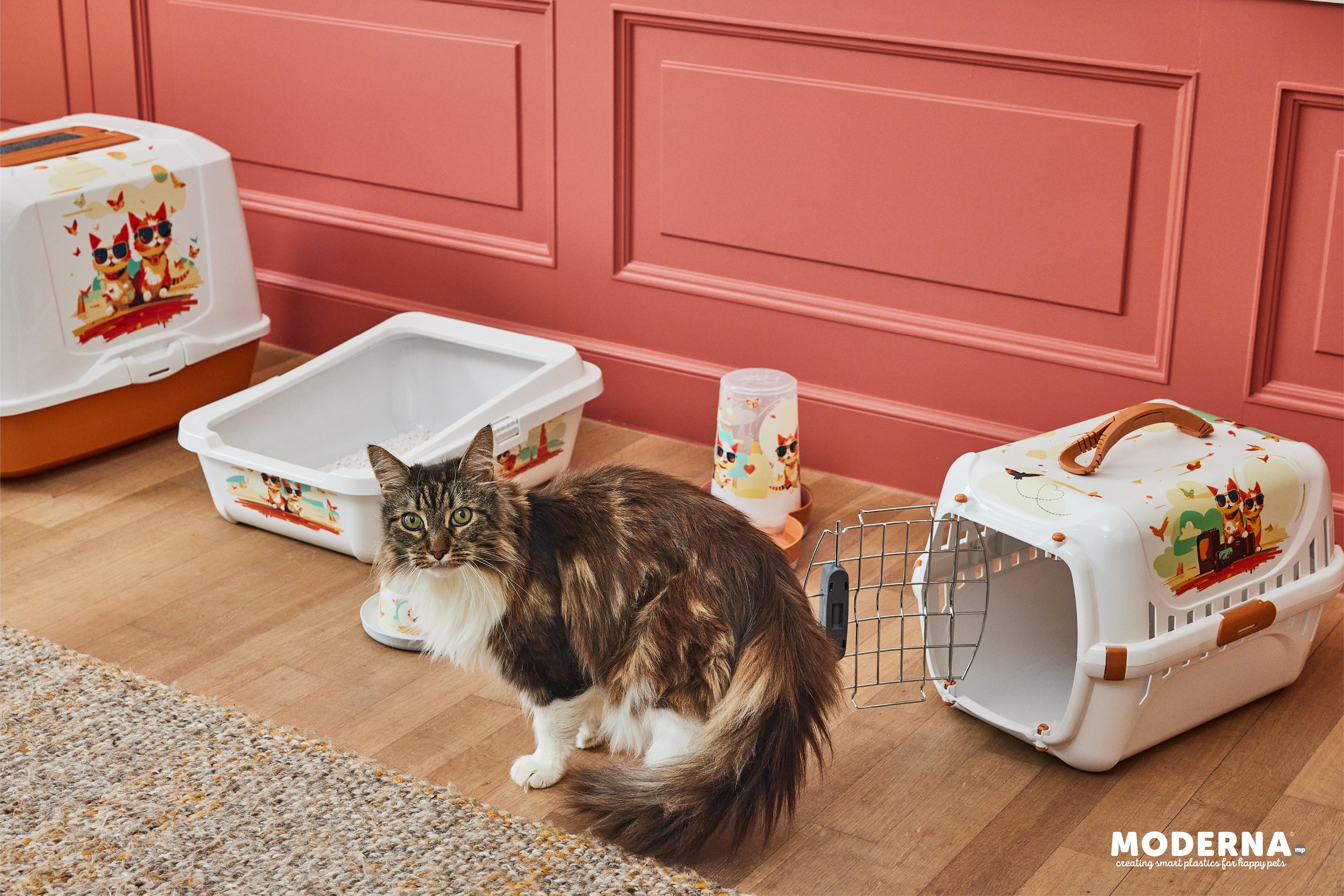 Cat sitting on a wooden floor with pet-related products including a litter box and carrier.