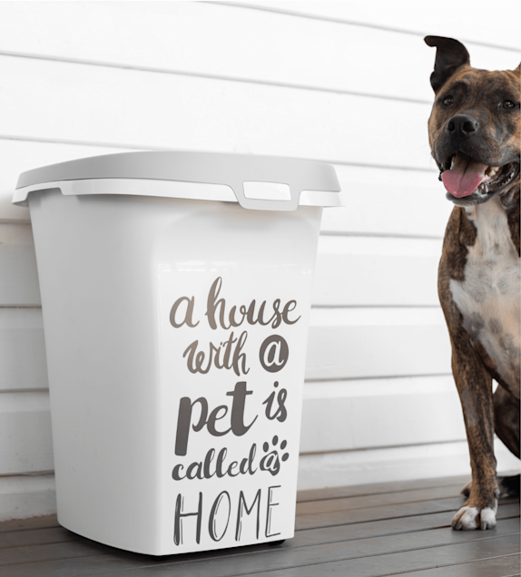 Moderna_Trendy Story Pet Wisdom Container