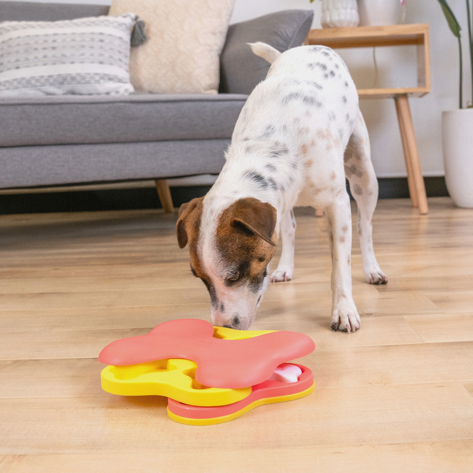Dog Tornado Pink Small