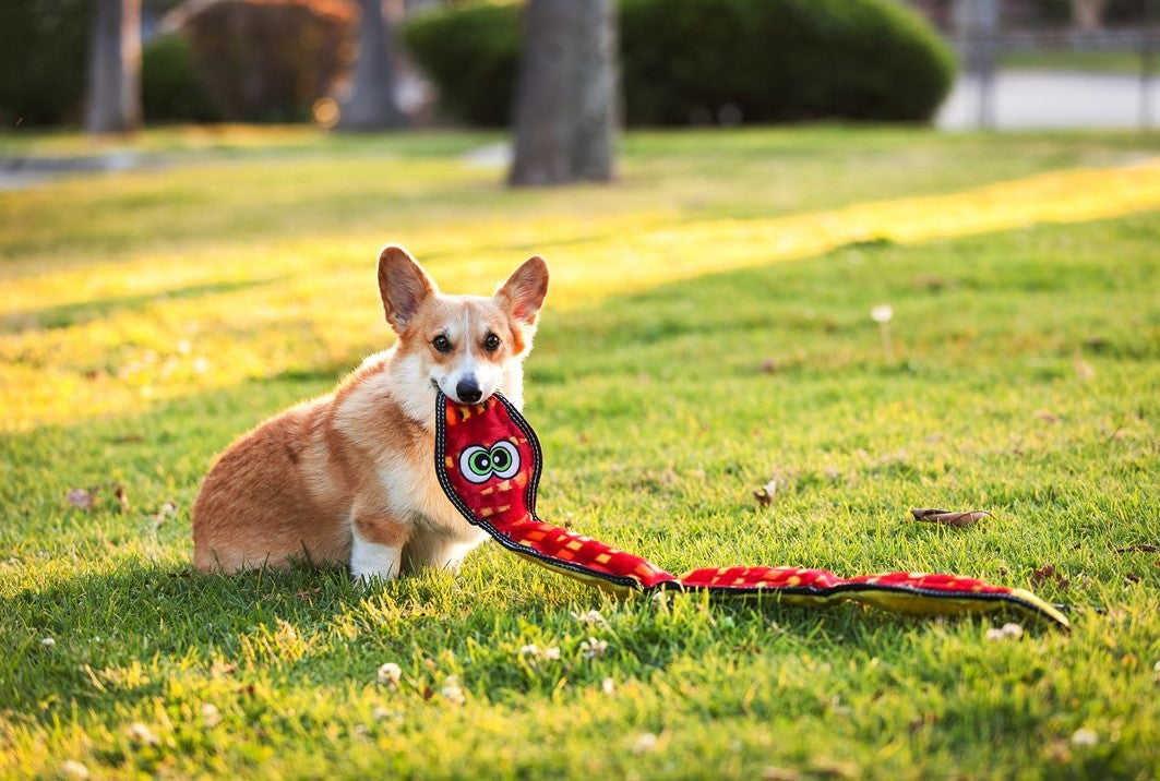 OWH03_Outward Hound_Tough Seamz Snake 6 squeaker