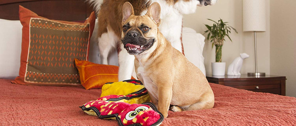 OWH03_Outward Hound_Tough Seamz Snake 6 squeaker