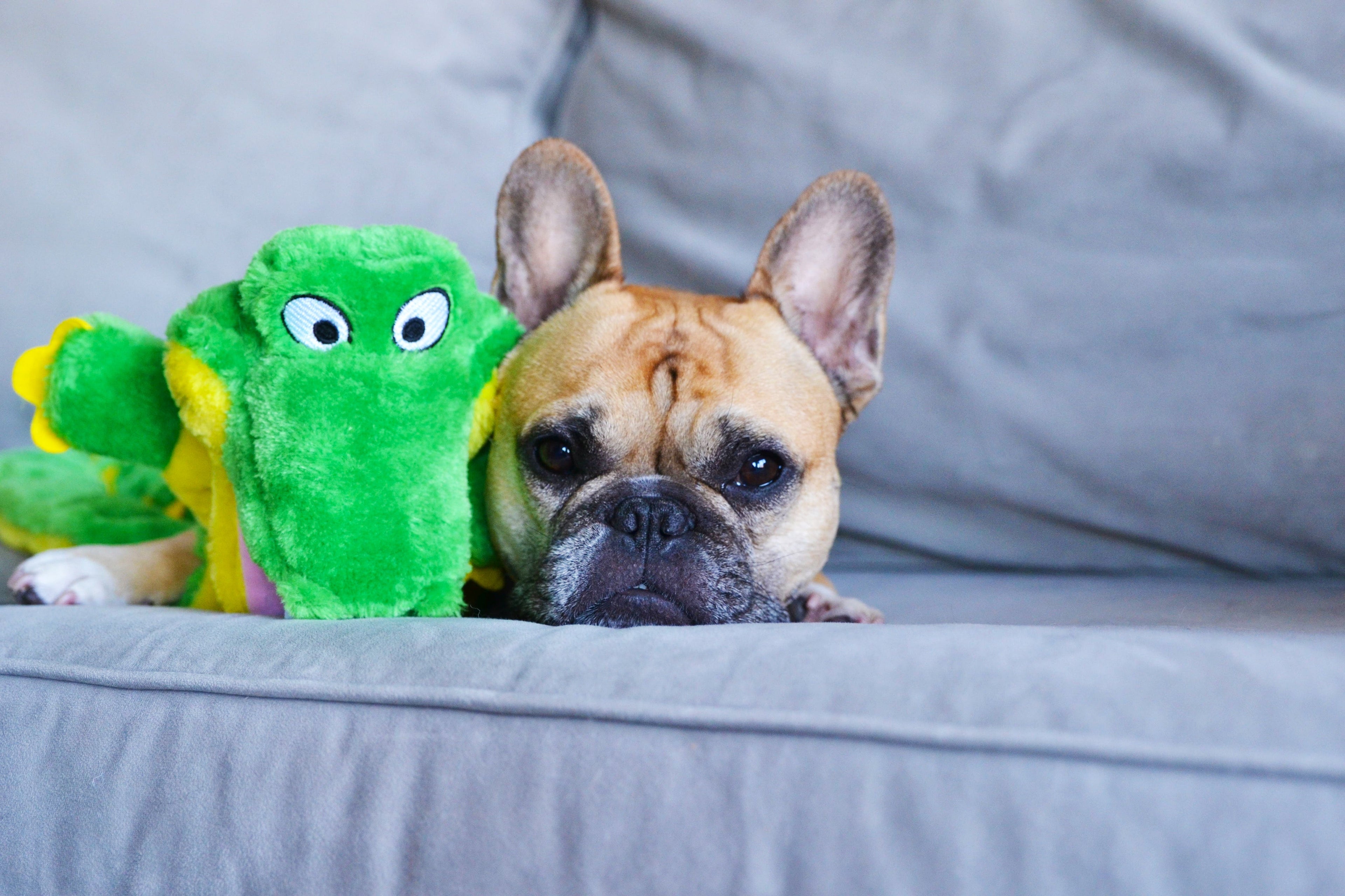 OWH05_Outward Hound_Squeaker Matz Gator XL 16 Squeaker