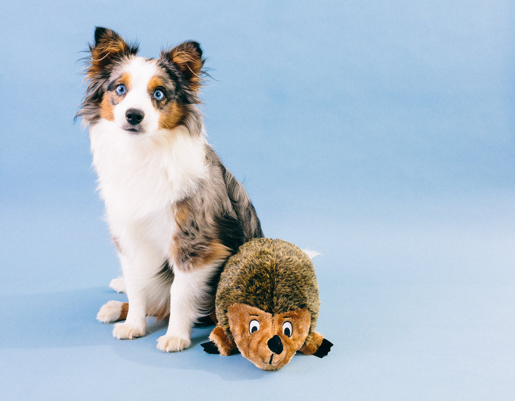 OWH06_Outward Hound Hedgehogz
