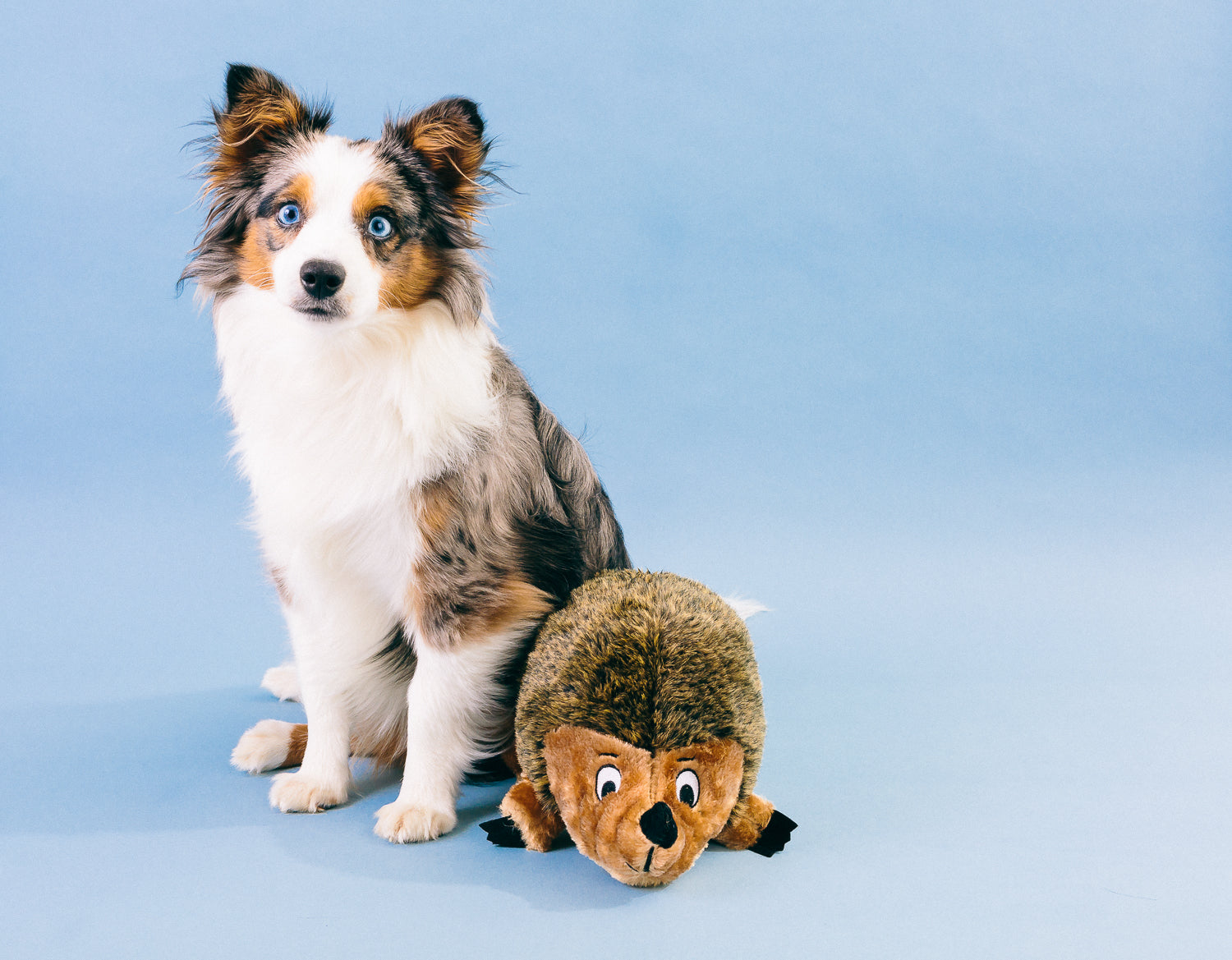 OWH06_Outward Hound Hedgehogz