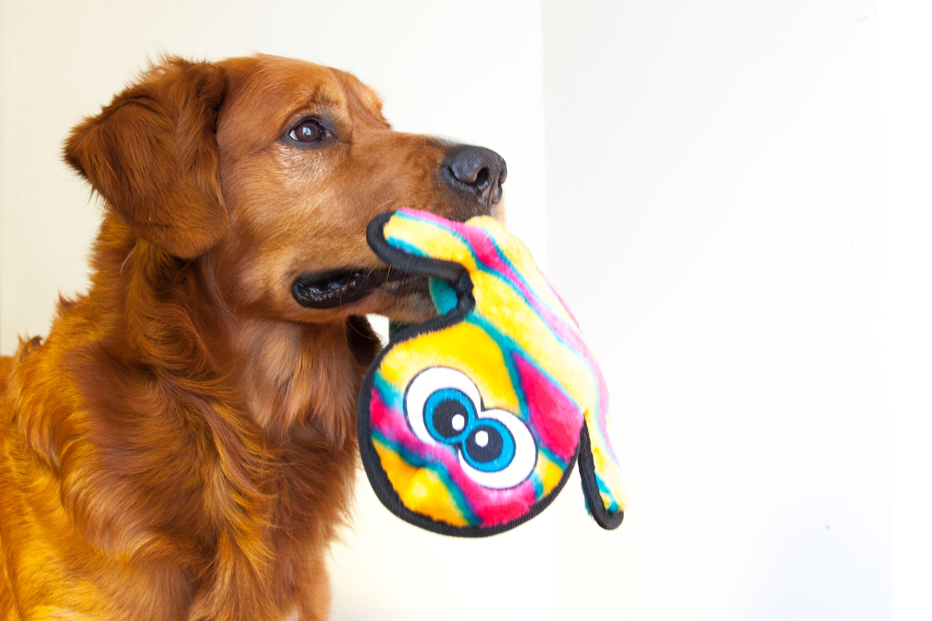 OWH09_Outward Hound_Invincible Gecko 2 sqk Orange/Pink