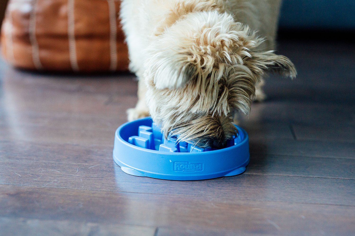 OWH106_Outward Hound_Fun Feeder Notch Blue
