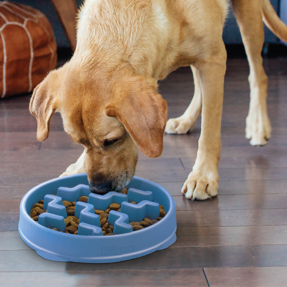 OWH106_Outward Hound_Fun Feeder Notch Blue