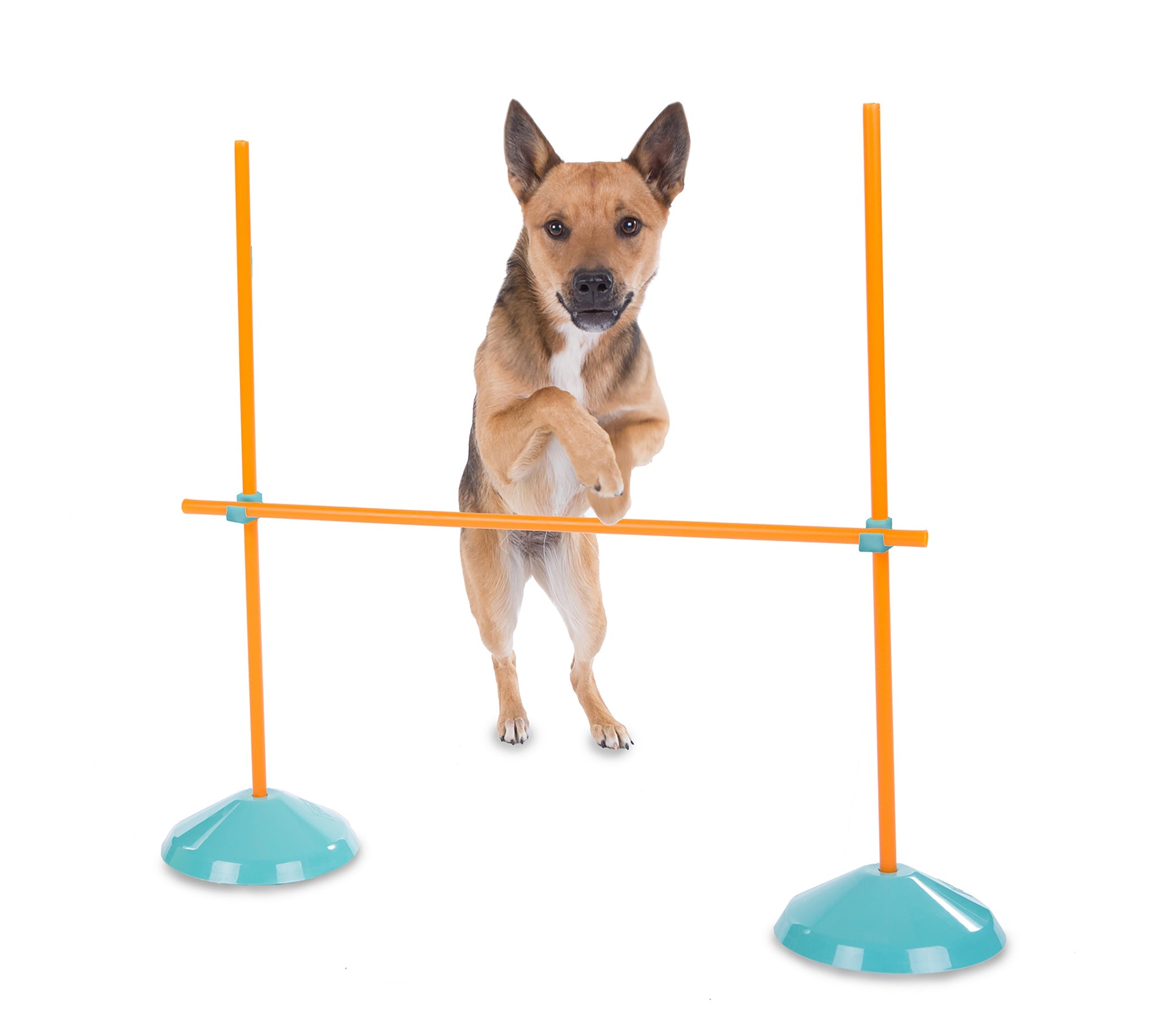 OWH112_Outward Hound_ZipZoom Indoor Agility Kit
