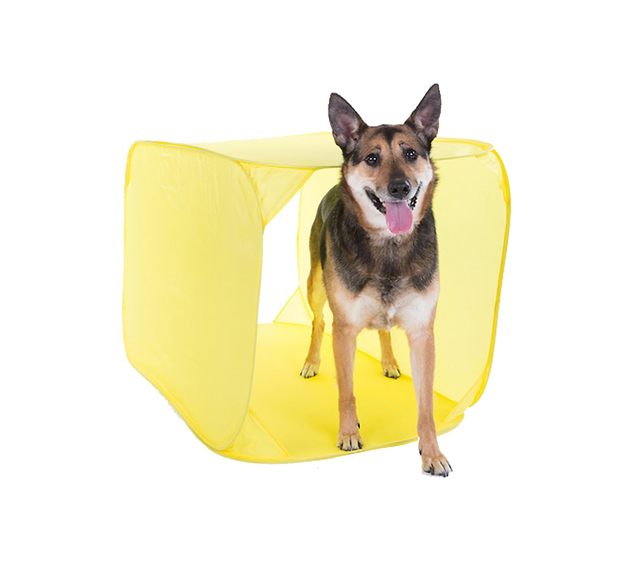 OWH112_Outward Hound_ZipZoom Indoor Agility Kit
