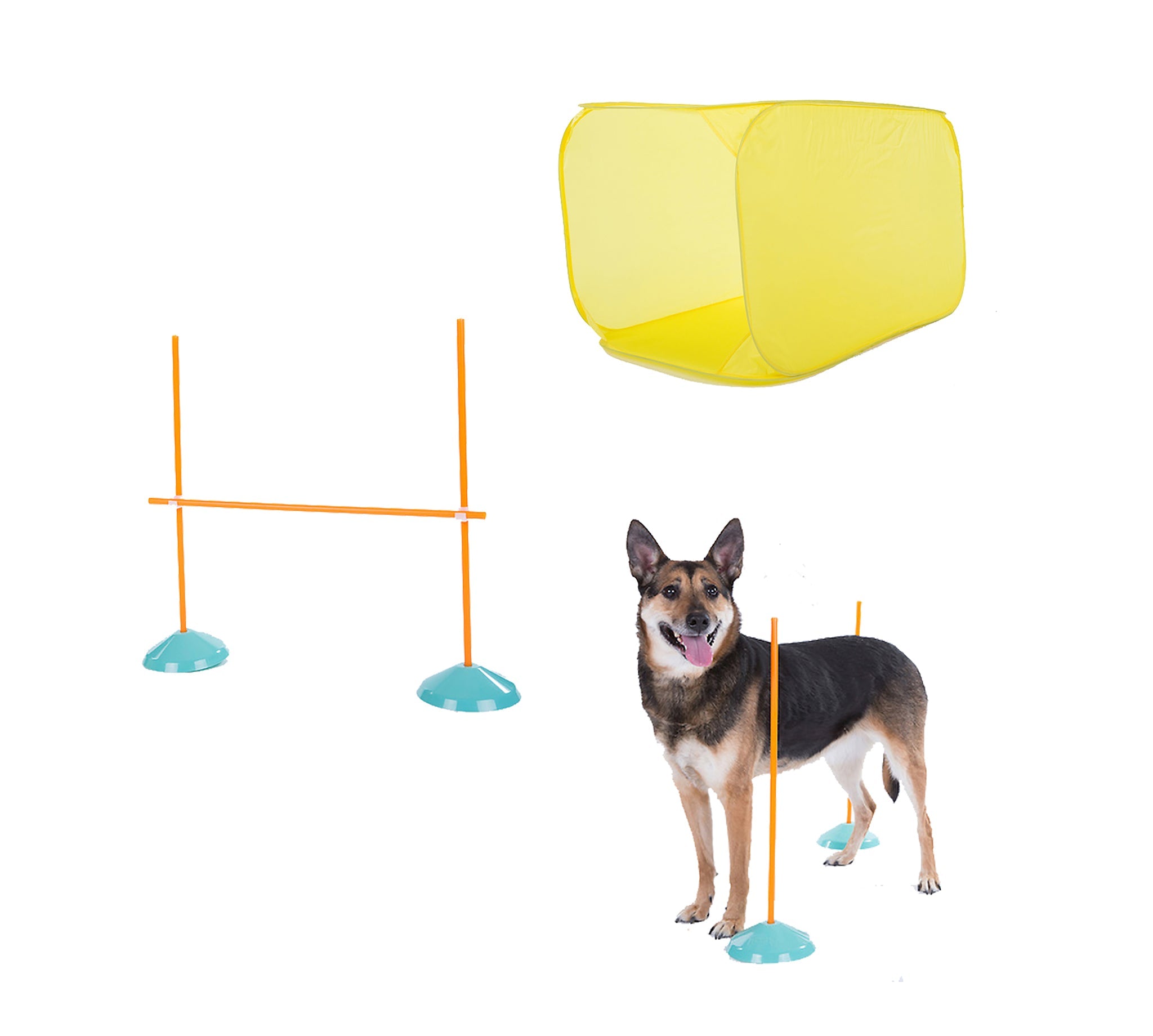 OWH112_Outward Hound_ZipZoom Indoor Agility Kit