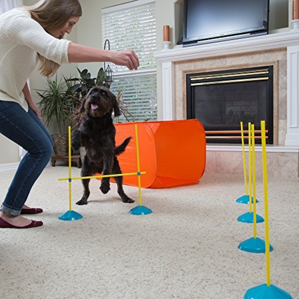 OWH112_Outward Hound_ZipZoom Indoor Agility Kit