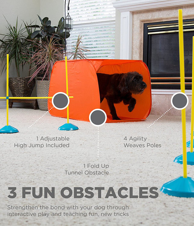 OWH112_Outward Hound_ZipZoom Indoor Agility Kit