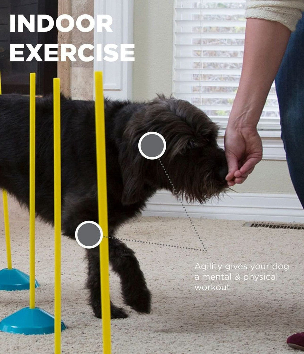 OWH112_Outward Hound_ZipZoom Indoor Agility Kit