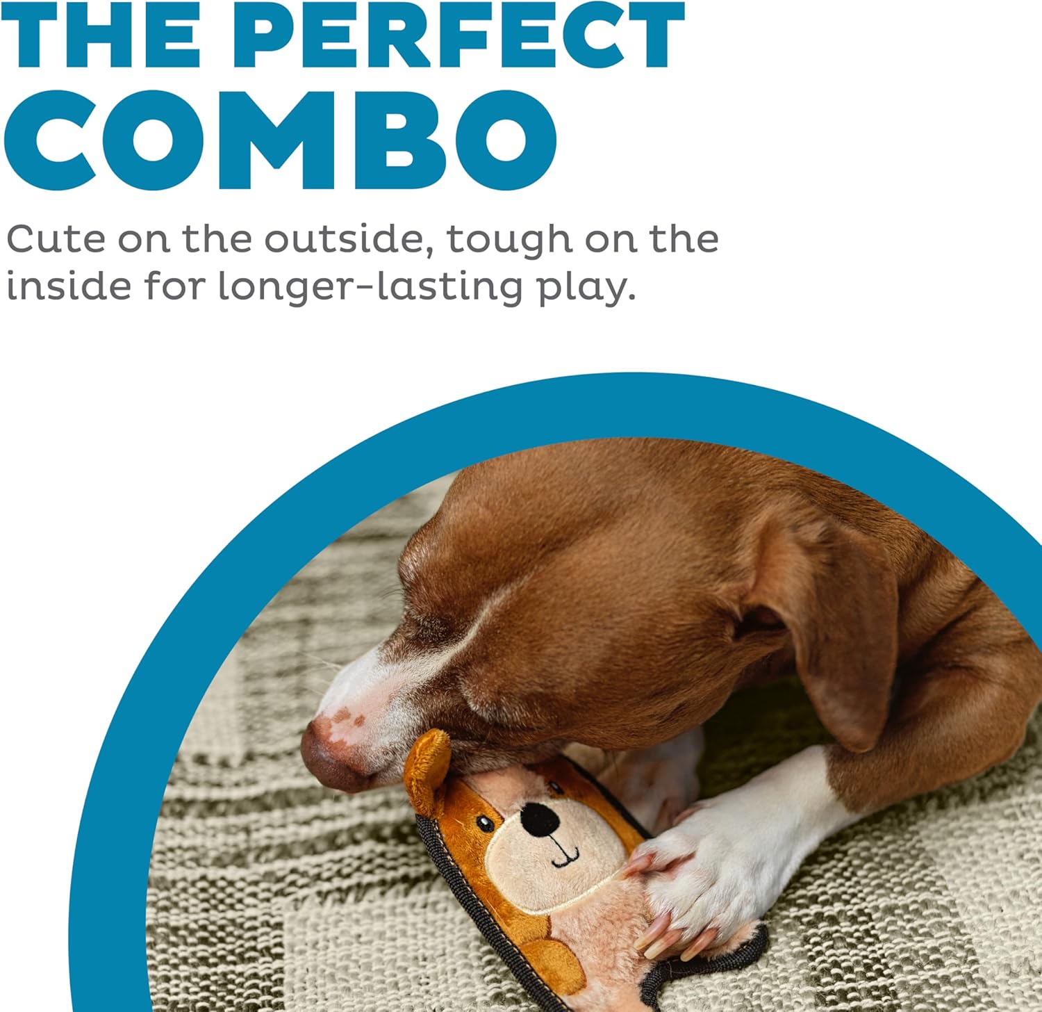 Outward Hound Durablez Mini Puppy