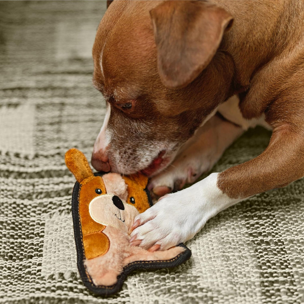 Outward Hound Durablez Mini Puppy