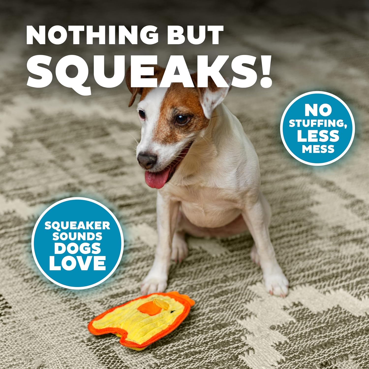 Outward Hound Durablez Mini Chicky