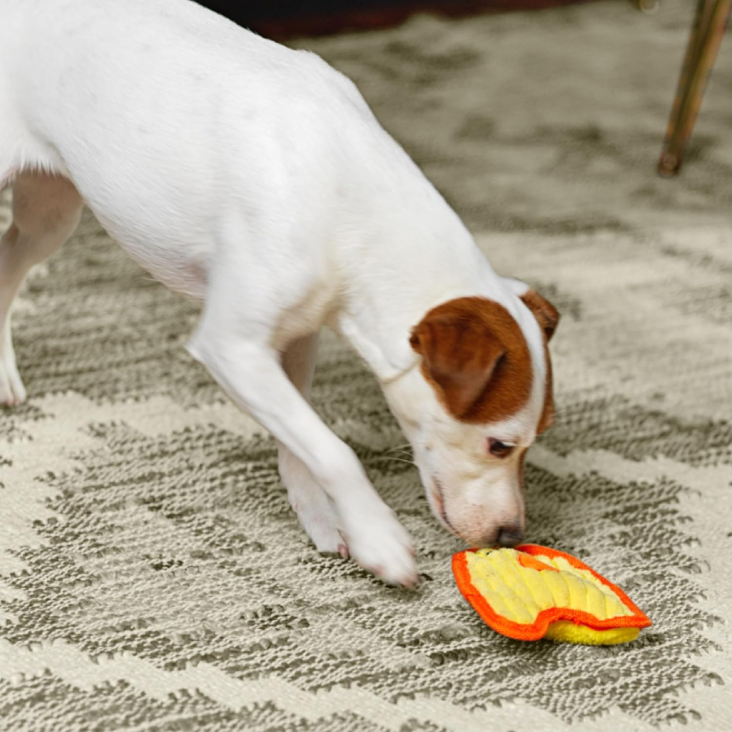 Outward Hound Durablez Mini Chicky